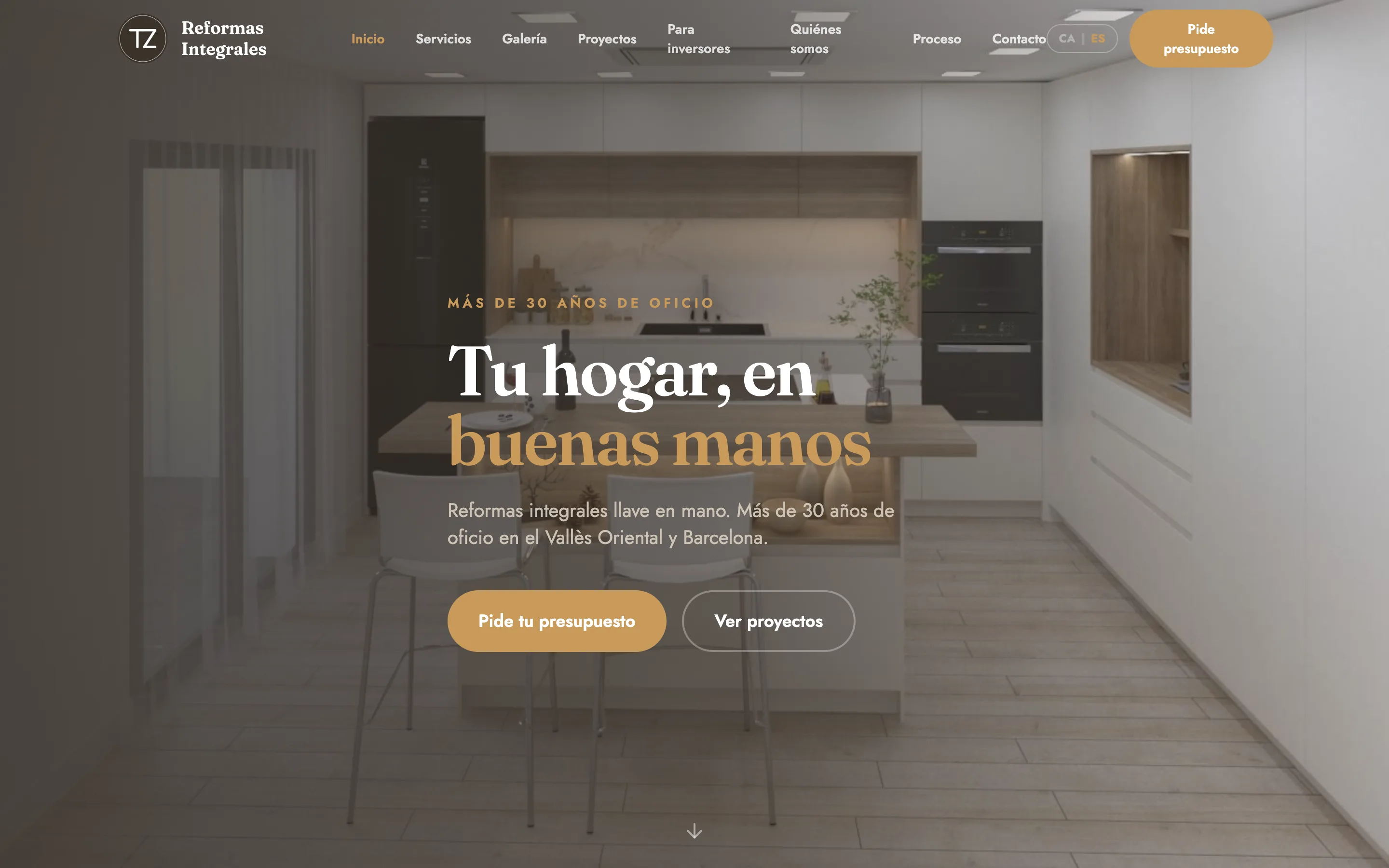 Web de TZ Reformas Integrales